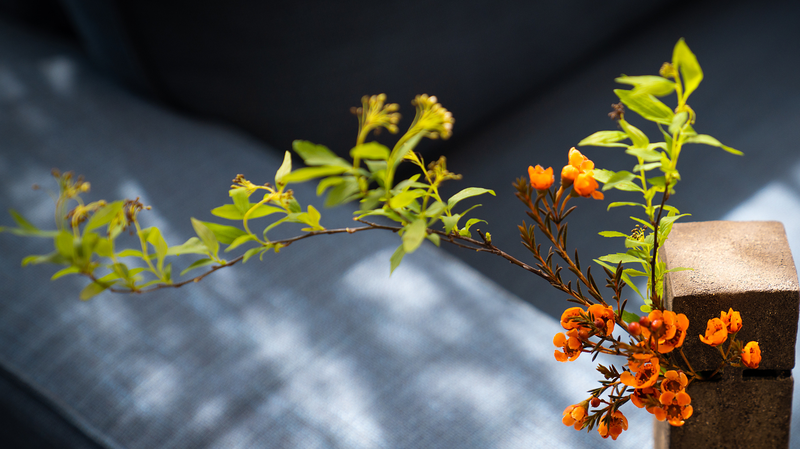 ZP0AS2HJPTNYK7738YFX - Namaste Headlines Slow Down and See: China’s Subtle Art of Noticing