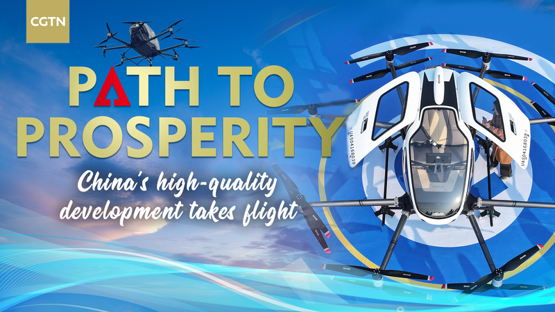 Flying High: Chinese Mainland’s Low-Altitude Aviation Revolution video poster