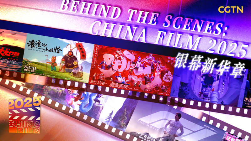 Chinese Cinema 2025: Behind the Scenes & Key Trends 🎬 video poster