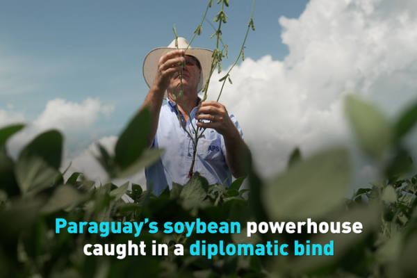 Diplomacy Reroutes Paraguay’s Soybean Exports video poster