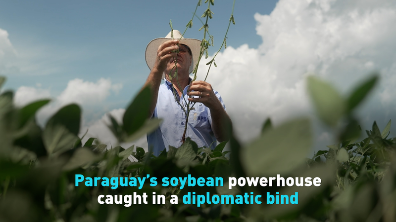 Diplomacy Reroutes Paraguay’s Soybean Exports video poster