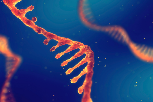 Hidden RNA Messages: How Viruses Hijack Bacteria’s DNA Machinery