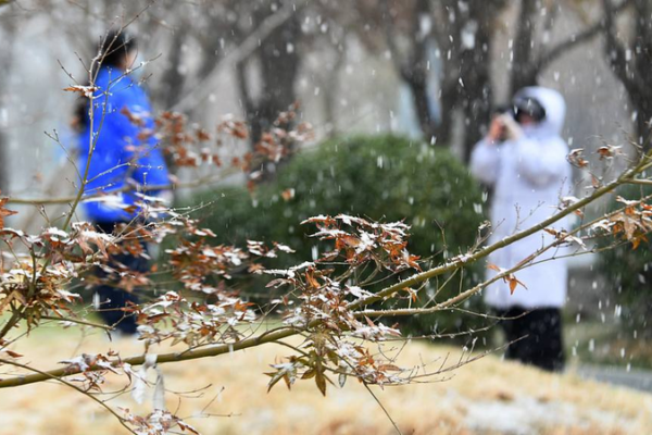 Cold Snap Hits the Chinese Mainland: Temps to Plunge 12°C