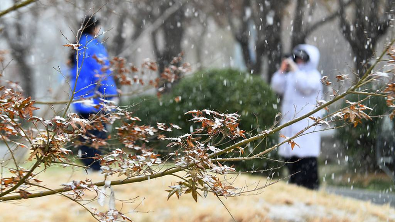 Cold Snap Hits the Chinese Mainland: Temps to Plunge 12°C