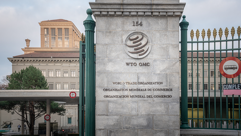 China Urges WTO Members to Boost Trade Transparency 🌐