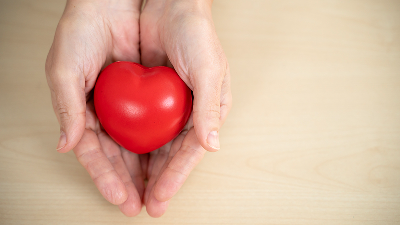 Young Adults in the Chinese Mainland Lead Organ Donation Surge 💓