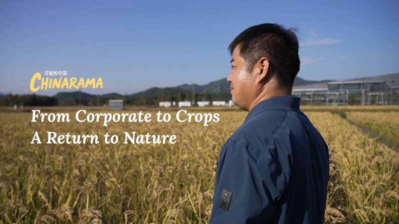 9MUE04UIA9Y1WI8VHFQI - Namaste Headlines From Corporate to Crops: Wang Luliang’s Natural Farming Revolution video poster