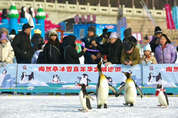 Beijing_Winter_Wonderland__Ice___Snow_Carnival_at_Taoranting_Park video poster