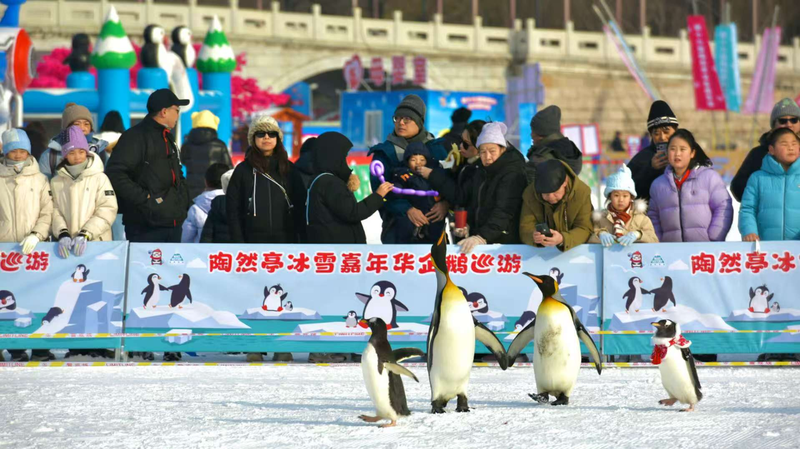 Beijing_Winter_Wonderland__Ice___Snow_Carnival_at_Taoranting_Park video poster