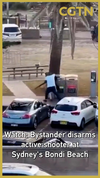 Brave_Bystander_Disarms_Shooter_at_Bondi_Beach_Mass_Shooting_poster - Namaste Headlines Brave_Bystander_Disarms_Shooter_at_Bondi_Beach_Mass_Shooting video poster