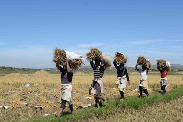 China and UN Launch $10M South–South Development Facility