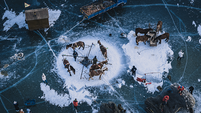 Chagan_Lake_s_Winter_Fishing_Festival__A_Frosty_Spectacle video poster