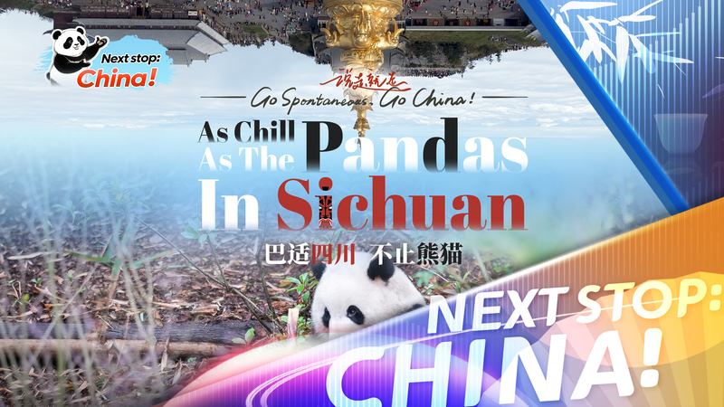 Chill_Like_a_Panda__Ioana_s__Bashi__Journey_in_Sichuan video poster