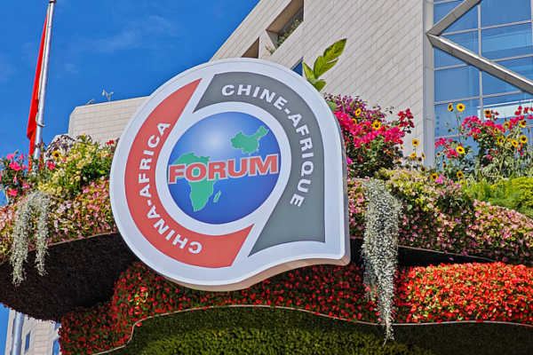 China_Africa_Ties__Celebrating_a_Decade_of_Strategic_Partnership