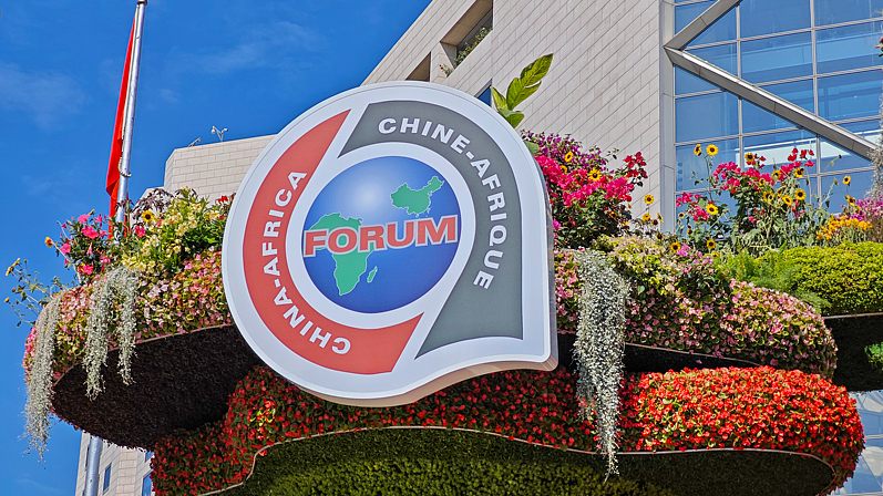 China_Africa_Ties__Celebrating_a_Decade_of_Strategic_Partnership