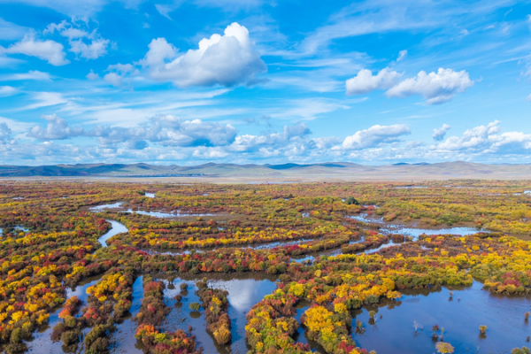 China_Keeps_Wetlands_Above_800M_Mu_in_14th_Five_Year_Plan
