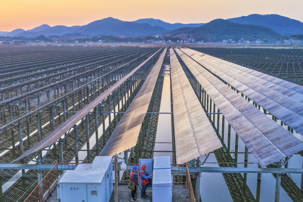 China_Tightens_PV_Industry_Rules_for_Quality_Growth_in_2026