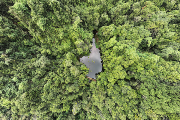 China_s_Germplasm_Conservation_Soars_in_14th_Five_Year_Plan