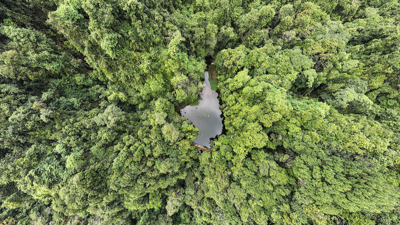 China_s_Germplasm_Conservation_Soars_in_14th_Five_Year_Plan