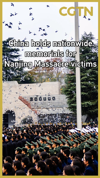 Chinese_Mainland_Marks_12th_Nanjing_Massacre_Memorial_Day video poster