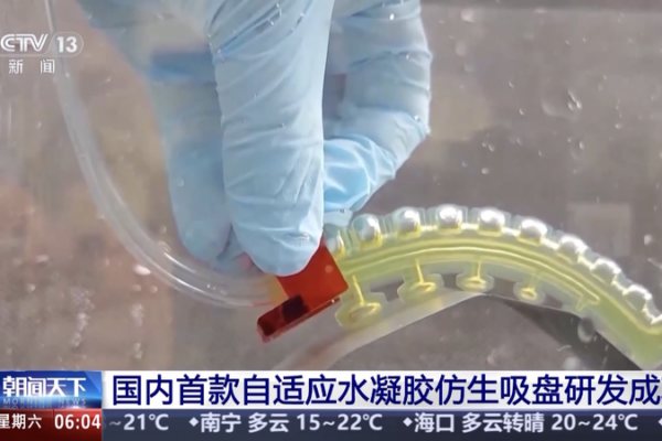 Chinese_mainland_Researchers_Unveil_First_Adaptive_Hydrogel_Suction_Disc_for_Underwater_Grasping