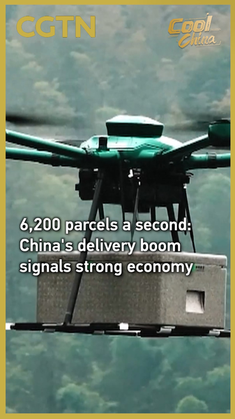 Chinese_mainland_s_Delivery_Boom__6_200_Parcels_Every_Second video poster