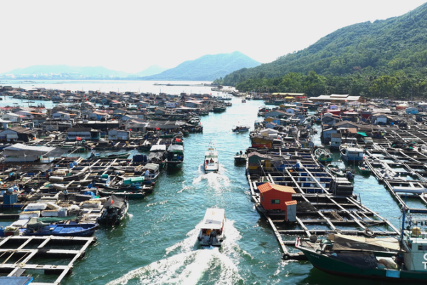 Danjia_Floating_Feasts__A_Culinary_Adventure_in_Hainan