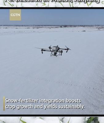Drones_Transform_Winter_Wheat_Fertilization_in_Manas__Xinjiang video poster