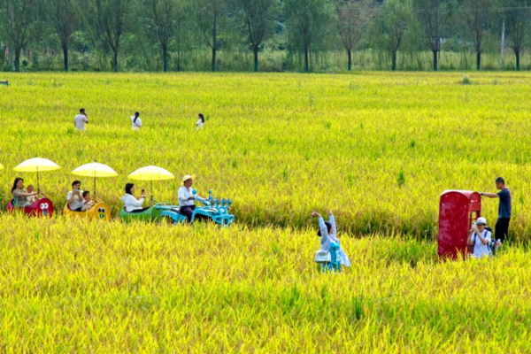 China’s People-Centered Push in 2025: Jobs, Health & Rural Growth