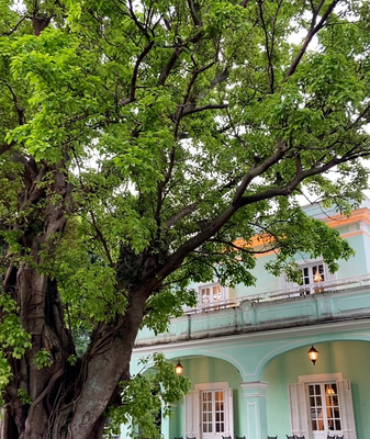 Taipa Houses Museum: Macao’s Iconic Blend of East and West video poster