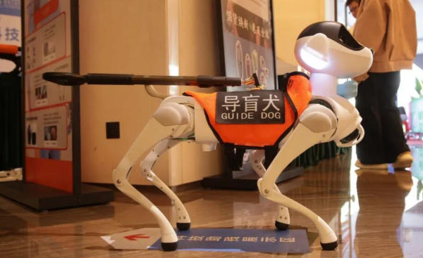 Shenzhen's Tech-Powered Games: AI, 5G & Green Energy 🌱🤖