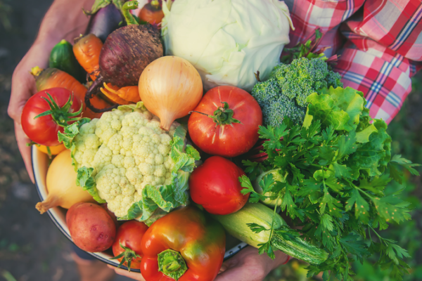 Fresh_Greens_at_Sea__CSSC_s_Smart_Shipboard_Farm_Debuts_at_Marintec_2025