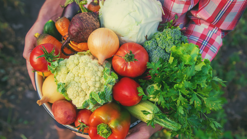 Fresh_Greens_at_Sea__CSSC_s_Smart_Shipboard_Farm_Debuts_at_Marintec_2025 - Namaste Headlines Fresh_Greens_at_Sea__CSSC_s_Smart_Shipboard_Farm_Debuts_at_Marintec_2025