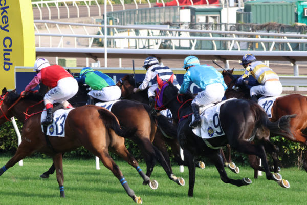 Year-End Thrills at Sha Tin: Final Race Day 2025 🏇✨