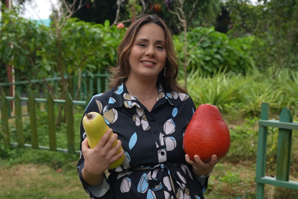 Hainan_s_Tropical_Revolution__Global_Fruit_Meets_Innovation video poster