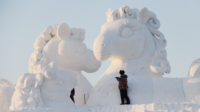 Harbin_s_10m__Pony_Family__Snow_Sculpture_Gears_Up_for_Year_of_the_Horse - Namaste Headlines Harbin_s_10m__Pony_Family__Snow_Sculpture_Gears_Up_for_Year_of_the_Horse