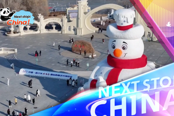 Harbin_s_38th_Sun_Island_Snow_Sculpture_Expo_Kicks_Off_Next_Week video poster