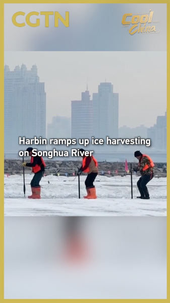 Harbin_s_Ice_Harvesting_Kicks_Off_for_27th_Ice_Snow_World video poster