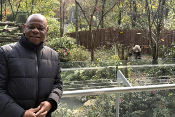 Inside_China_s_Panda_Conservation__Exploring_Chengdu_s_Wildlife_Efforts