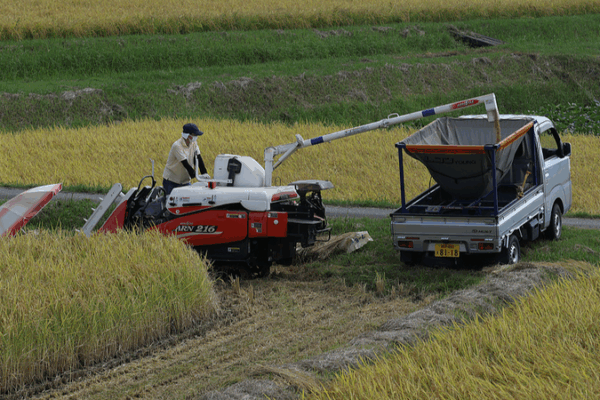 Japan_Sees_Record_Drop_in_Self_Employed_Farmers_Amid_Aging_Crisis