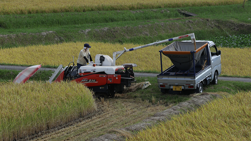 Japan_Sees_Record_Drop_in_Self_Employed_Farmers_Amid_Aging_Crisis