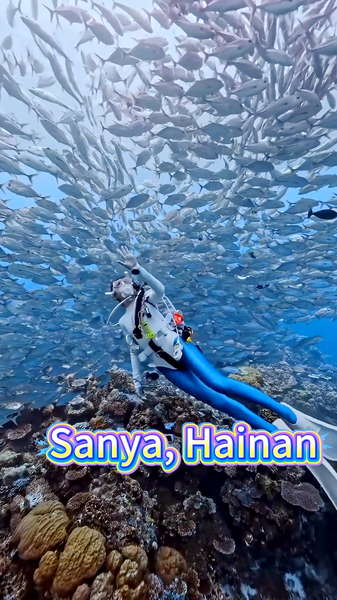 L55GO6XX7N3E1XFZ8AKV - Namaste Headlines Sanya: Dive into Hainan’s Underwater Paradise video poster