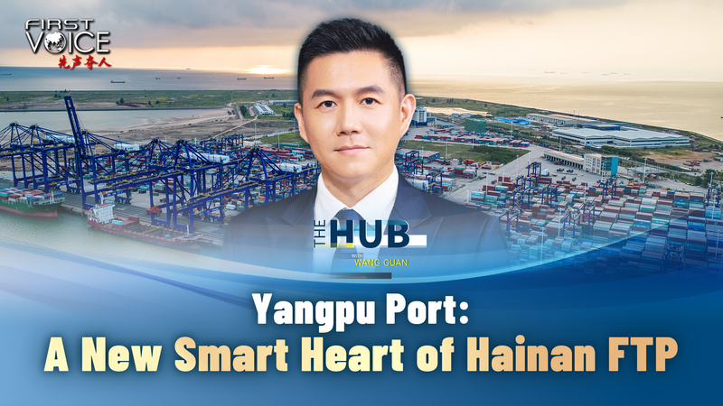 Yangpu Port: Hainan FTP’s Smart Trade Hub video poster