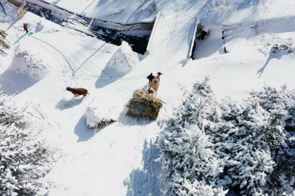 Winter Magic in Songling Snow Village ❄️