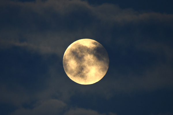 Last_Supermoon_of_2025_Lights_Up_the_Sky_Tonight video poster