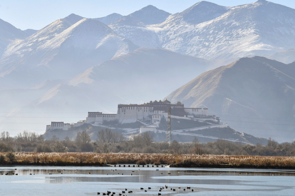Lhasa’s Lhalu Wetland Certified World’s Highest Urban Wetland