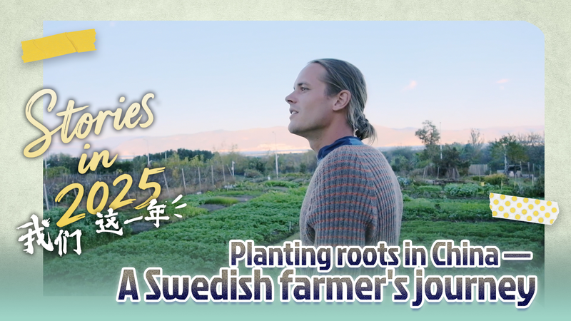 Planting_Roots_in_Dali__China__A_Swedish_Farmer_s_No_Till_Journey video poster