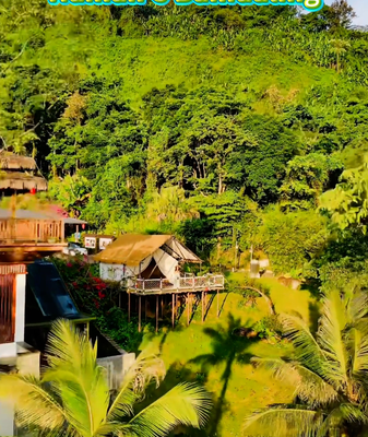 Get Lost in Hainan’s Baihualing: Ultimate Forest Camping Guide video poster