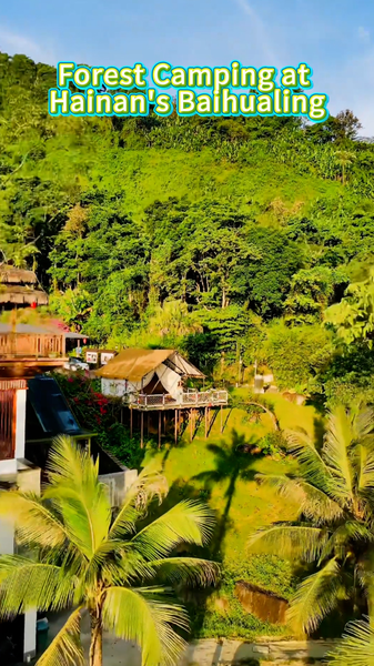 QQ4WF2C20H9R42J9WRAA - Namaste Headlines Get Lost in Hainan’s Baihualing: Ultimate Forest Camping Guide video poster