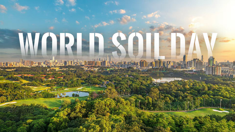World Soil Day 2025: Healthy Soils, Healthier Cities 🌱🏙️